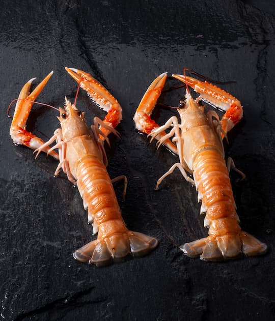 Bisque langoustines